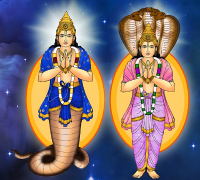 Astrology rahu-and-ketu-transit-report