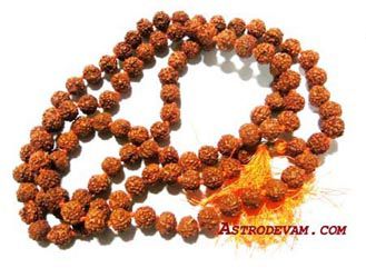 Rudraksha Rosaries Rudraksha Rosaries